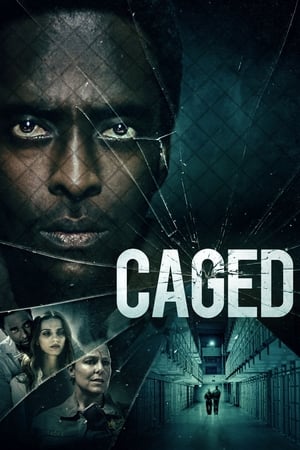 MPOFLIX - Nonton Film Caged (2021) Sub Indo Full Movie